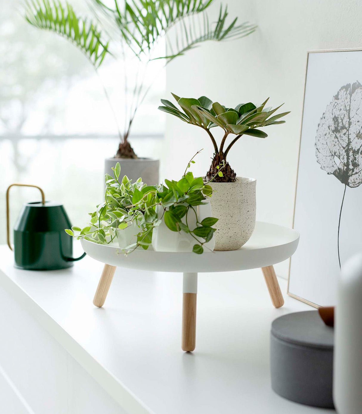 Countertop Pedestal Tray (5" H)  - Steel + Wood from Yamazaki Home