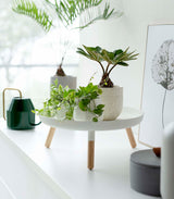 Countertop Pedestal Tray (5" H)  - Steel + Wood from Yamazaki Home