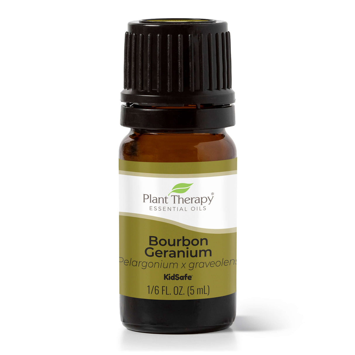 Bourbon Geranium Essential Oil From Plant Therapy