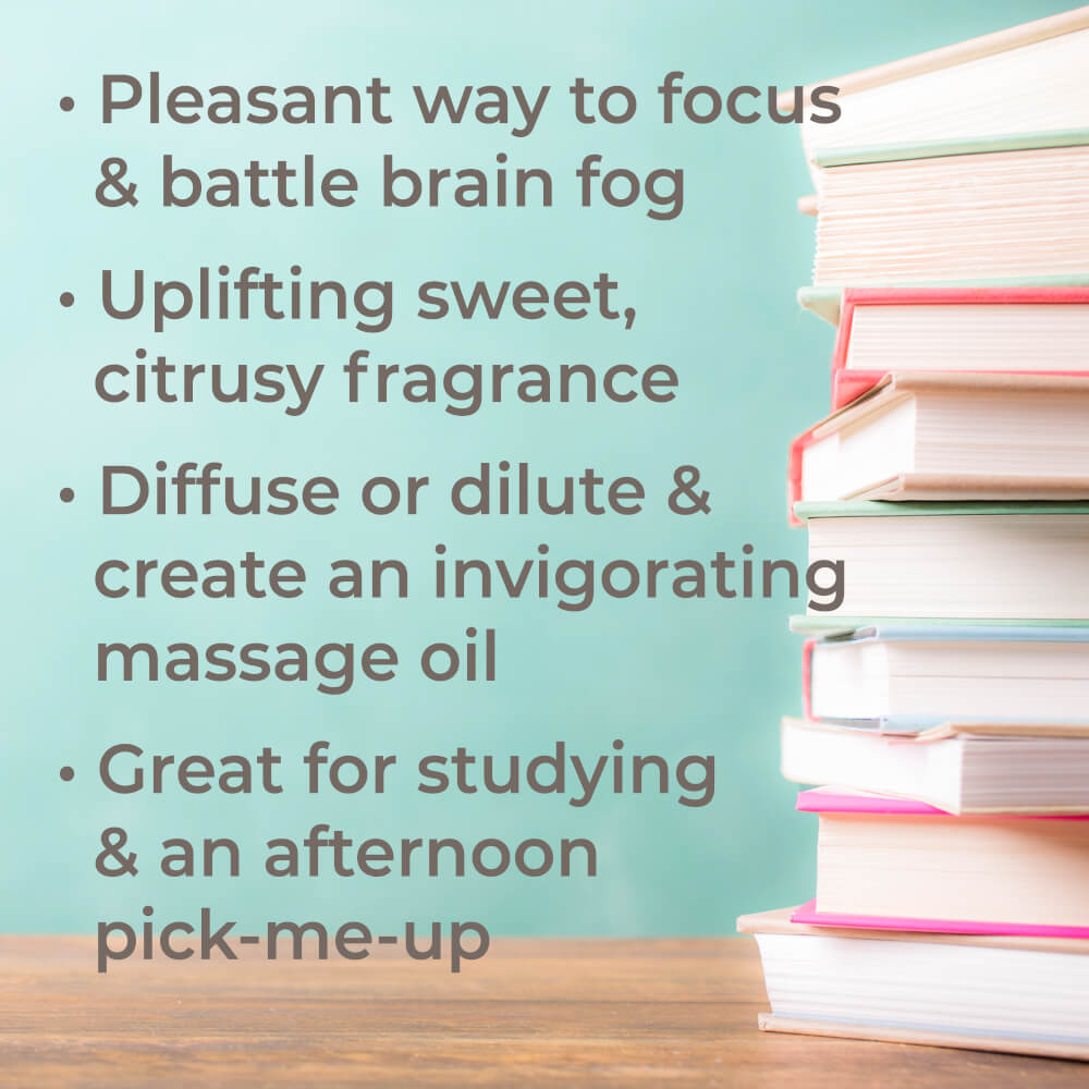 Brain Aid Essential Oil Blend From Plant Therapy