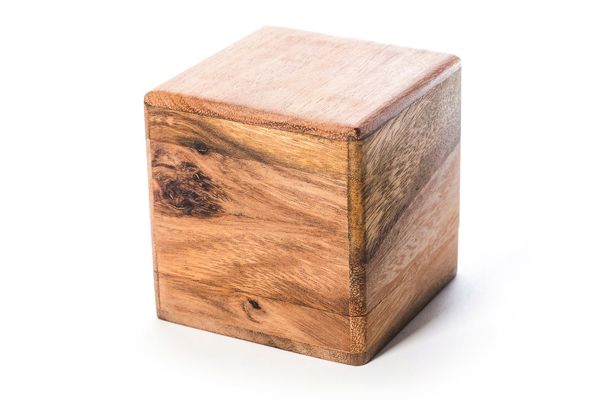 BrainStorm - Wooden Assembly Puzzle from Kubiya Games
