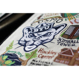 Brigham Young University (BYU) Collegiate Hand-Embroidered Pillow from Quirks!