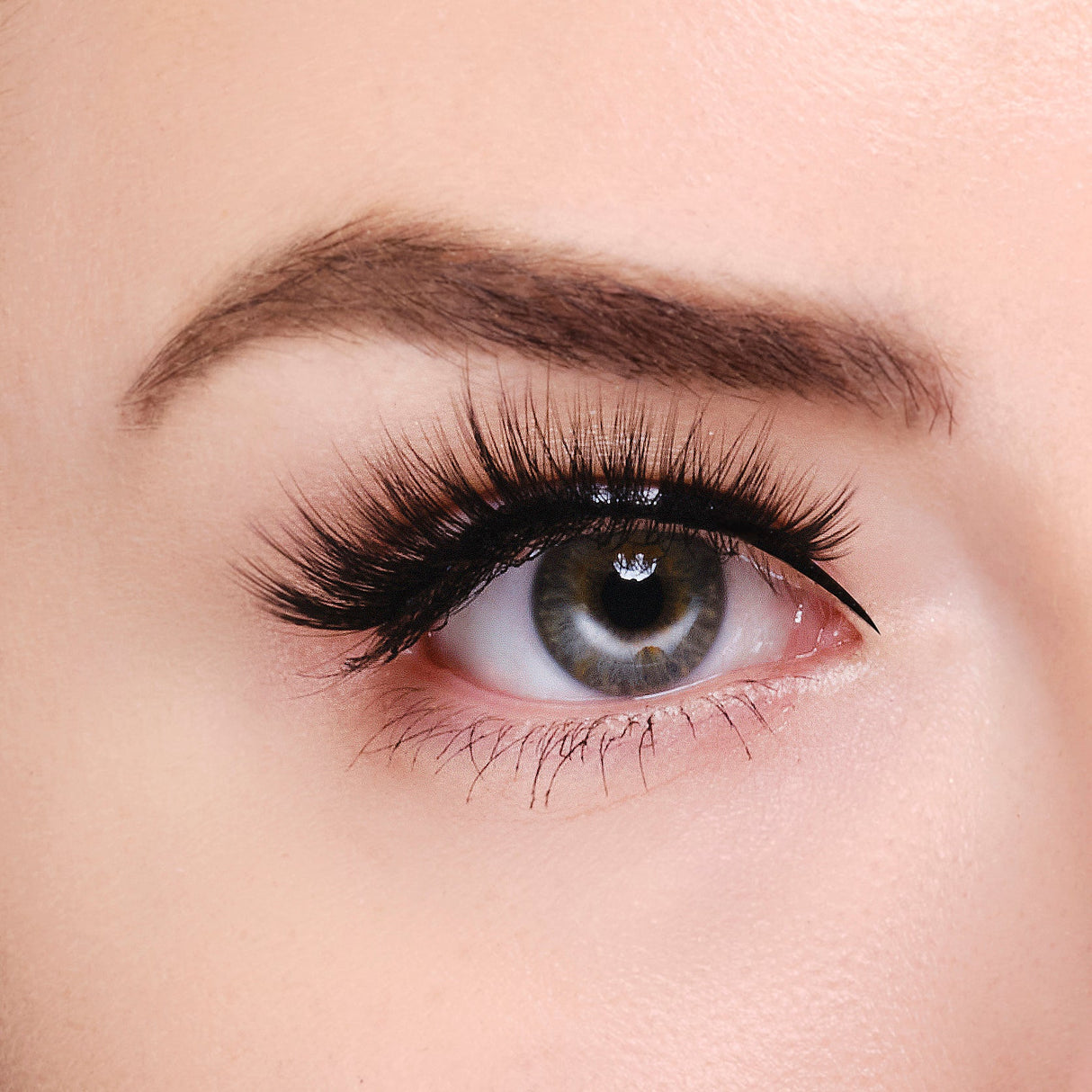 Synthetic Eyelashes - Bronx from False Eyelashes