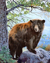 Brown Bear WD083 14.9 x 18.9 inches Wizardi Diamond Painting Kit from Wizardi