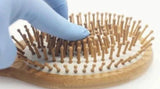 Natural Wooden Detangling Hair Brush from Choixe