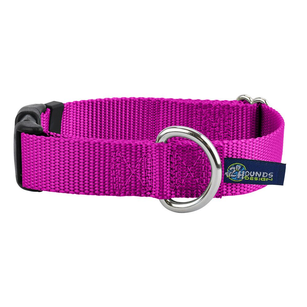 5/8″ and 1″ Raspberry Nylon Dog Collar from 2 Hounds Design