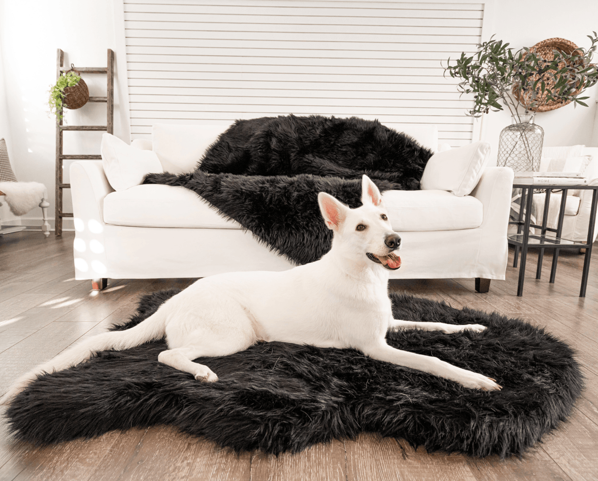 PupRug by Paw.com™  Faux Fur Orthopedic Dog Bed - Curve Midnight Black from Paw.com