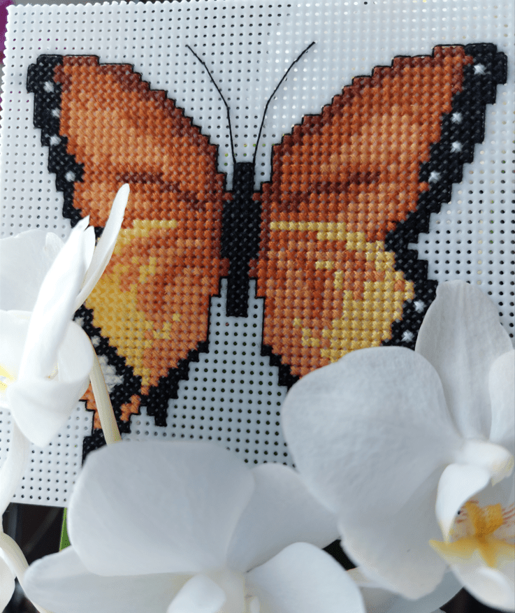 Butterflies 117CS Counted Cross-Stitch Kit From Wizardi