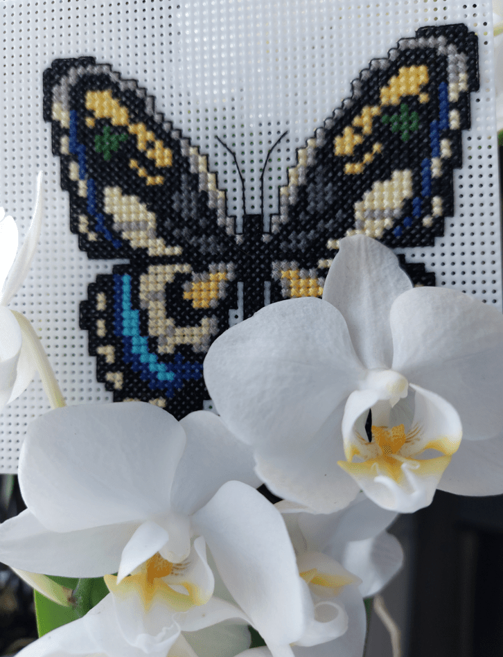 Butterflies 117CS Counted Cross-Stitch Kit From Wizardi