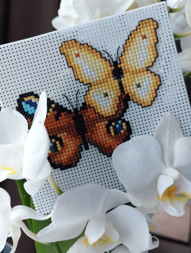 Butterflies 117CS Counted Cross-Stitch Kit From Wizardi