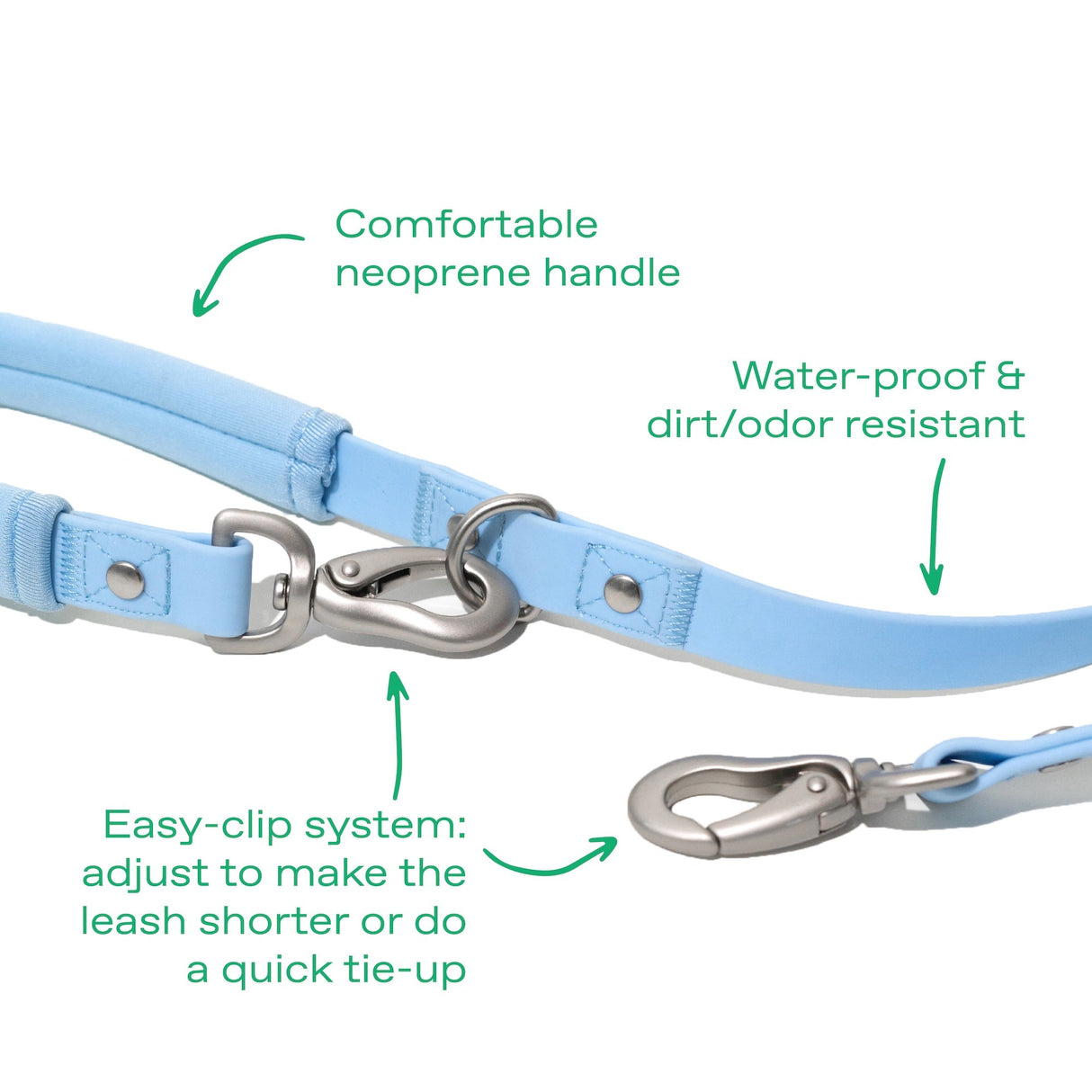 Dog Leash from Springer