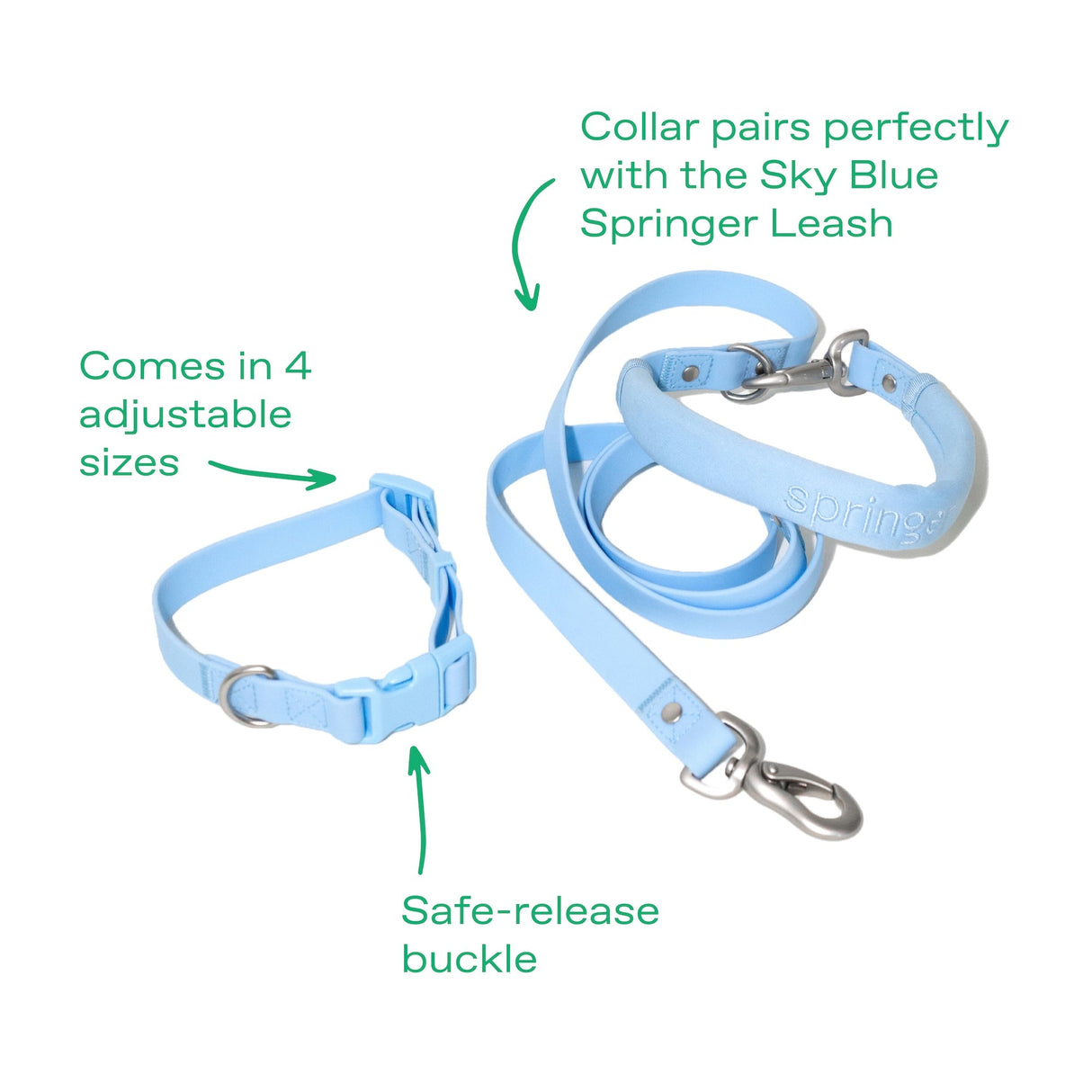 Dog Leash from Springer
