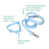 Dog Leash from Springer