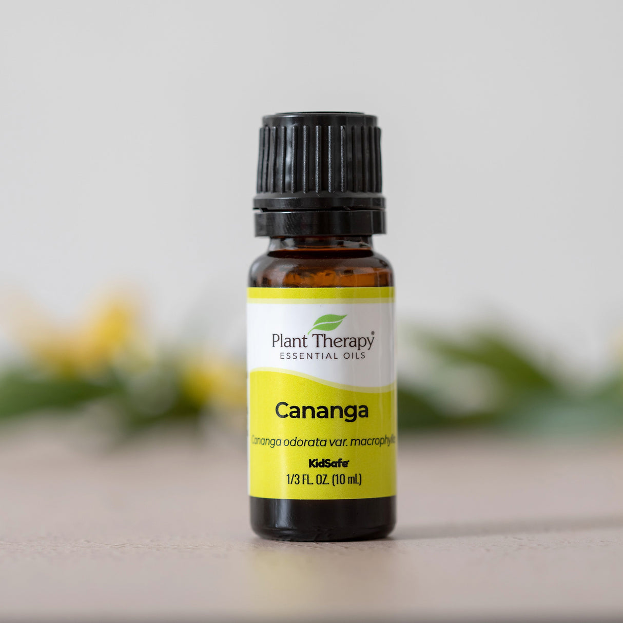 Cananga Essential Oil From Plant Therapy