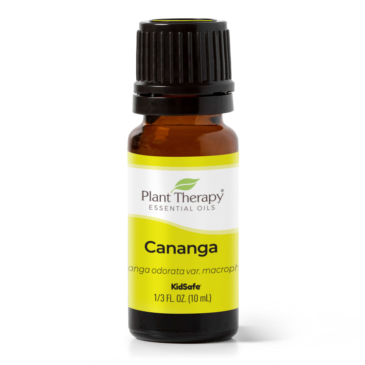 Cananga Essential Oil From Plant Therapy