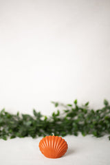 Shell Candle Collection from Shop Restyled