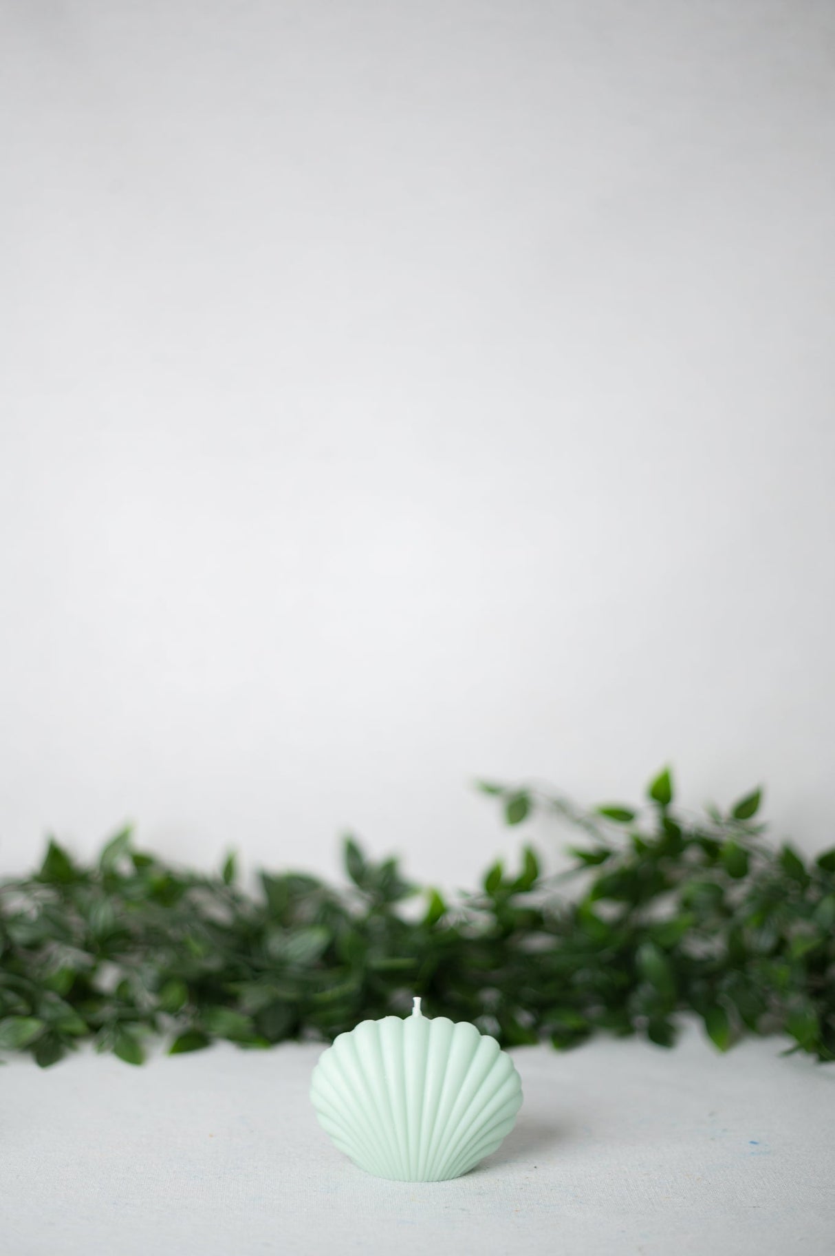 Shell Candle Collection from Shop Restyled