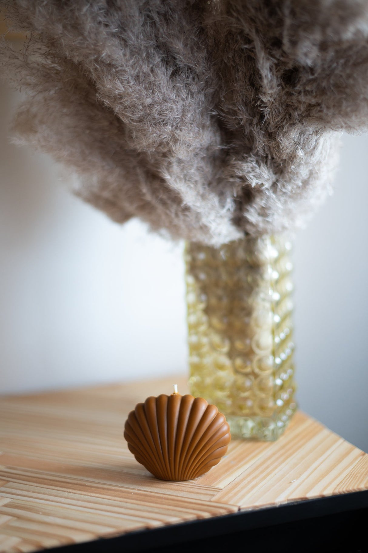 Shell Candle Collection from Shop Restyled
