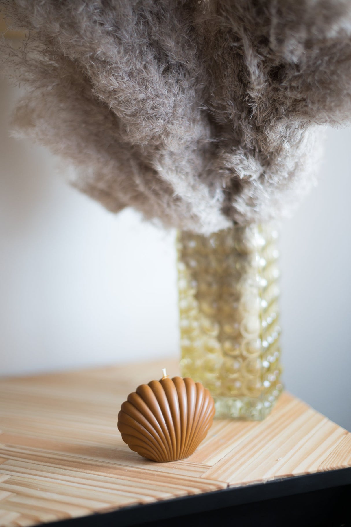 Shell Candle Collection from Shop Restyled