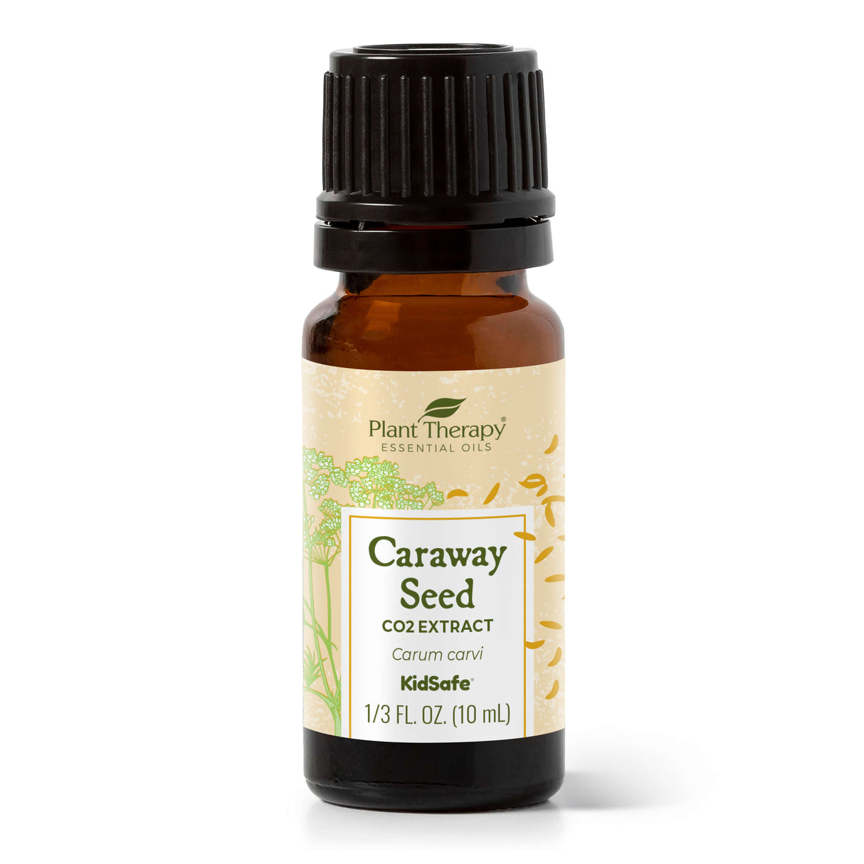 Caraway Seed CO2 Extract from Plant Therapy