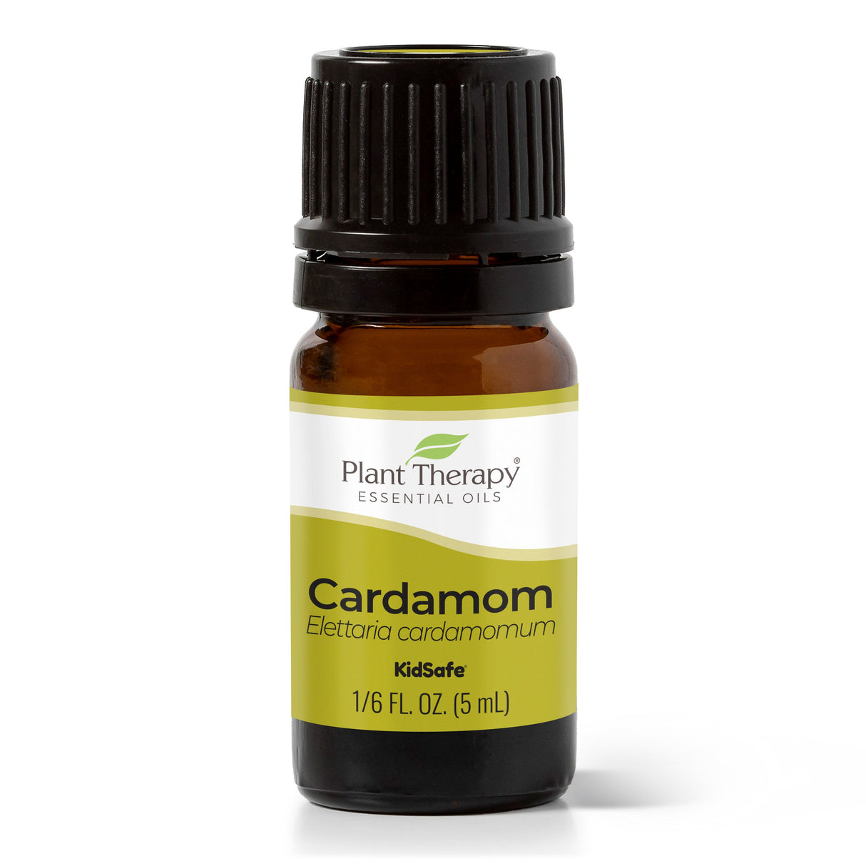 Cardamom Essential Oil From Plant Therapy