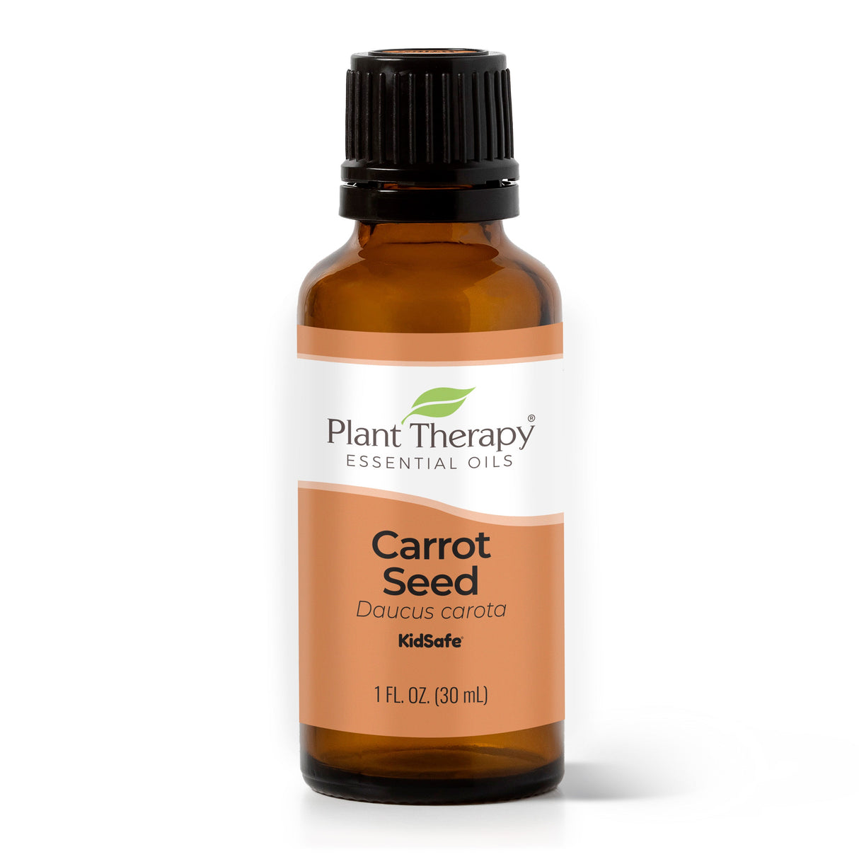 Carrot Seed Essential Oil From Plant Therapy