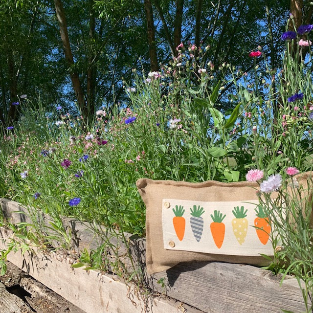 Holiday Panel: Spring, Summer, Veggies, Bunny Food, Garden; CARROT PATCH From PillowPanels