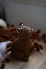 Meow Candle Collection From Shop Restyled