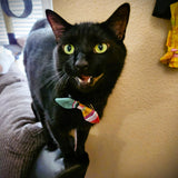 Cat and Dog Collar Bow Tie - Set of 3 from Upavim Crafts