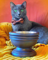 Summit Elevated Dog Bowl from Pet Junkie