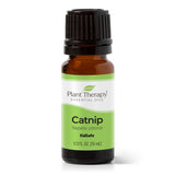 Catnip Essential Oil From Plant Therapy