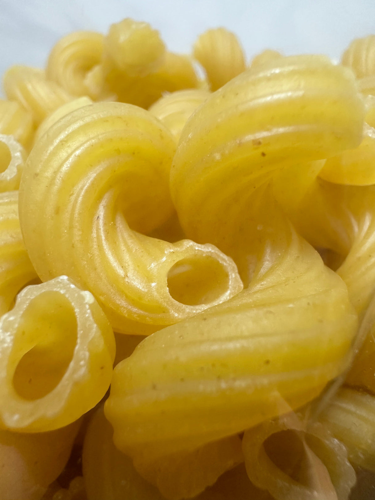 Stello Foods - Rosie's Pasta - Cavatappi 16 oz from Stello Foods