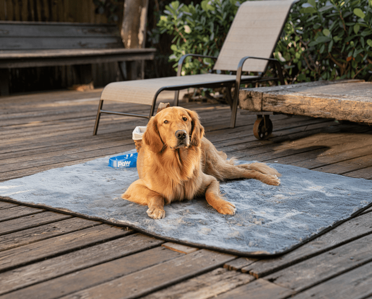 PupProtector™ Summer Short Fur Waterproof Throw Blanket - Charcoal Grey from Paw.com
