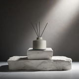 100mL Ceramic Reed Diffuser from Hotel Collection
