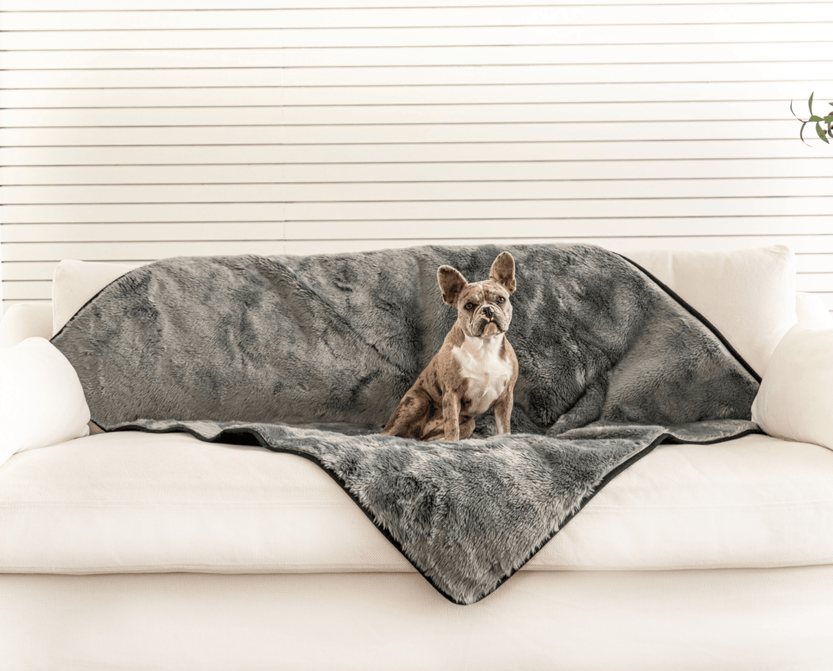 PupProtector™ Summer Short Fur Waterproof Throw Blanket - Charcoal Grey from Paw.com