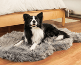 PupRug by Paw.com™ Faux Fur Orthopedic Dog Bed - Curve Charcoal Grey from Paw.com