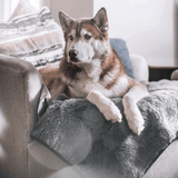 PupProtector™ Summer Short Fur Waterproof Throw Blanket - Charcoal Grey from Paw.com