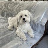 PupProtector™ Summer Short Fur Waterproof Throw Blanket - Grey from Paw.com