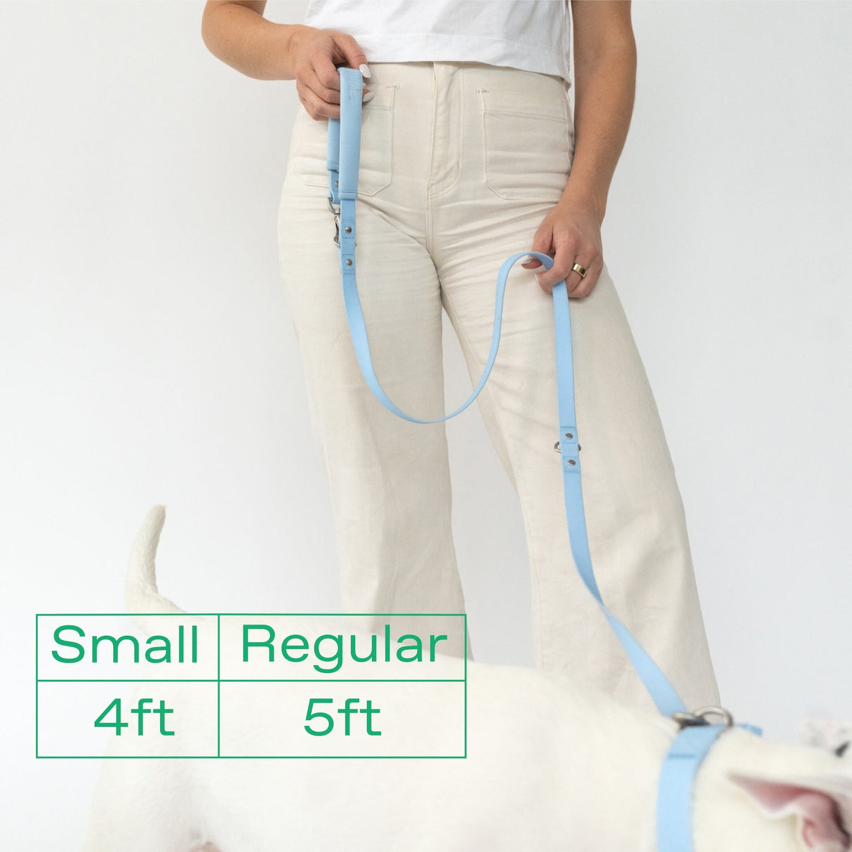 Dog Leash from Springer