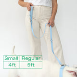 Dog Leash from Springer