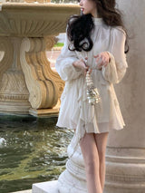 Chiffon Delight Mini Dress From Kawaii Stop