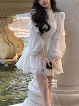 Chiffon Delight Mini Dress From Kawaii Stop