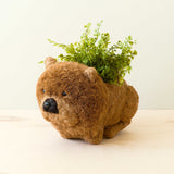 Chow Chow Planter - Dog Plant Pot | from LIKHÂ