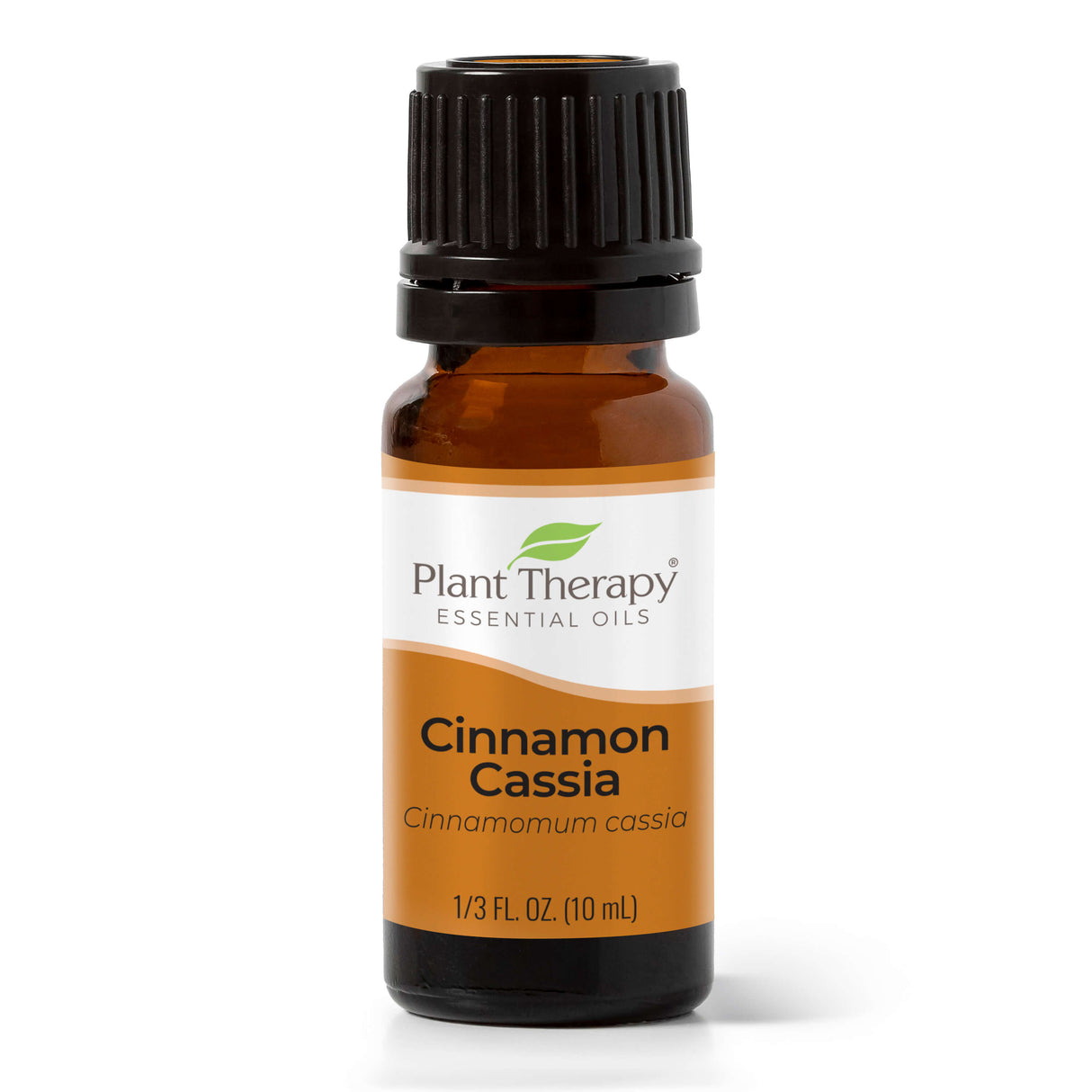 Cinnamon Cassia Essential Oil From Plant Therapy