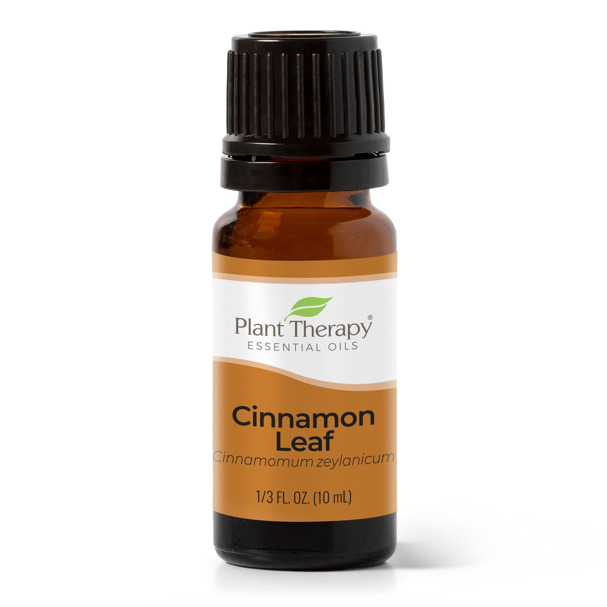 Cinnamon Leaf Essential Oil From Plant Therapy