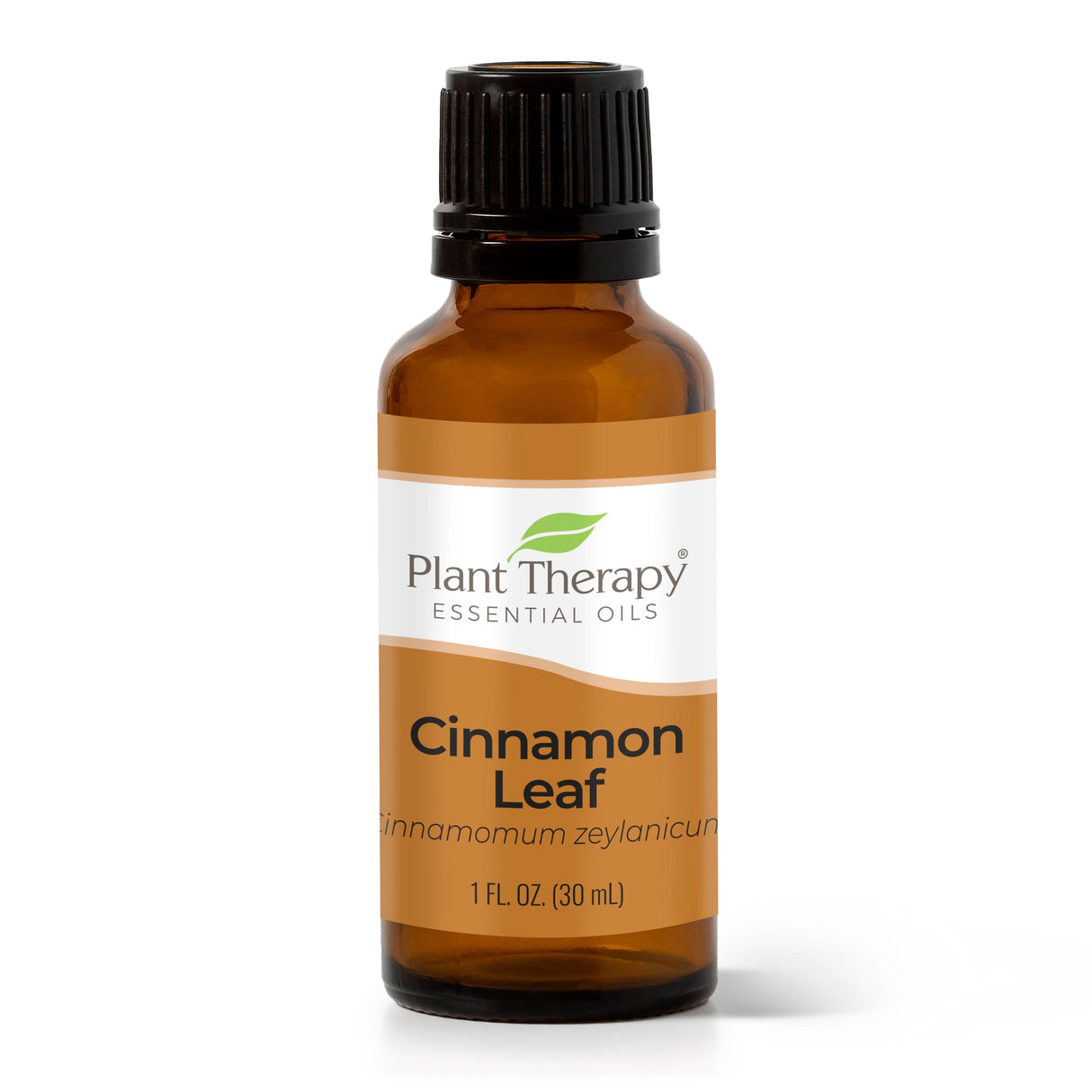 Cinnamon Leaf Essential Oil From Plant Therapy