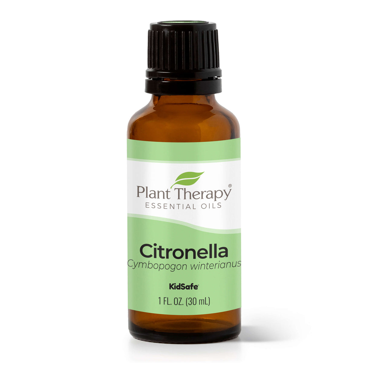 Citronella Essential Oil From Plant Therapy