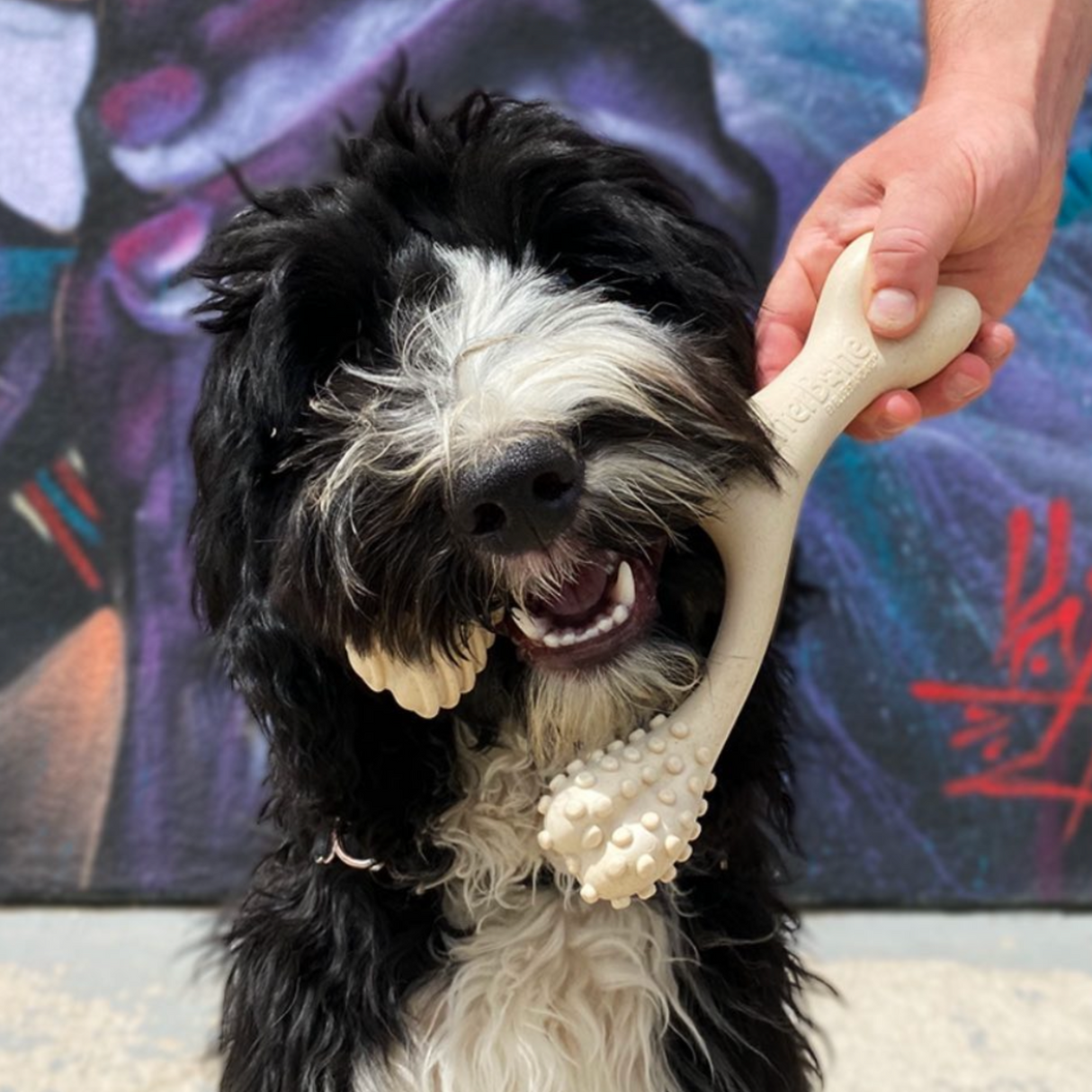 BetterBone SOFT Durability CHEW TOY: Natural Ingredients, Perfet for Teething Puppies, Senior Dogs & Gentle Chewers from BetterBone All Natural Eco-Friendly Dog Chews & Bones