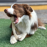 BetterBone SOFT Durability CHEW TOY: Natural Ingredients, Perfet for Teething Puppies, Senior Dogs & Gentle Chewers from BetterBone All Natural Eco-Friendly Dog Chews & Bones