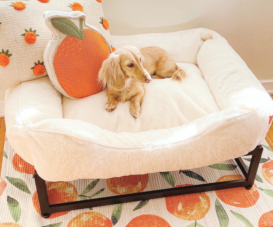 The FÜZI Dog Bed - Faux Fur from FÜZI